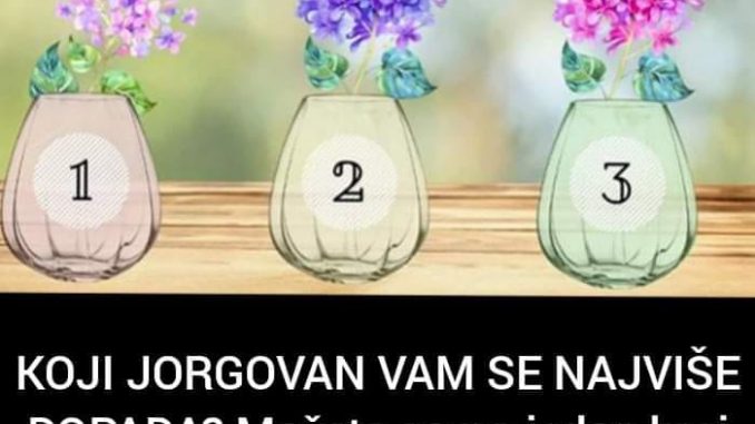 175715308_301897648169572_7175518015016750001_n